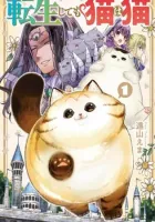 A Story About a Cat Reincarnated in a Different World Where There Are No Cats Manga cover