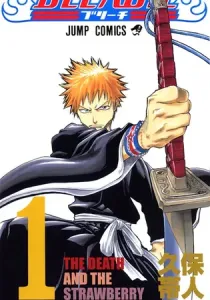 Bleach Manga cover