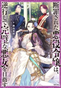 Danzai Sareta Akuyaku Reijou Wa, Gyakkou Shite Kanpeki Na Akujo Wo Mezasu Light Novel cover