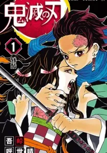 Demon Slayer - Kimetsu no Yaiba Manga cover