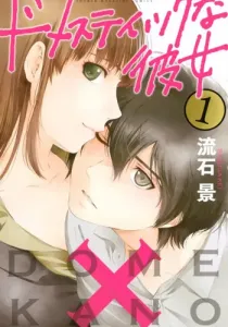 Domestic Girlfriend Manga cover