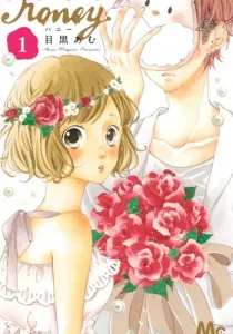 Honey So Sweet Manga cover