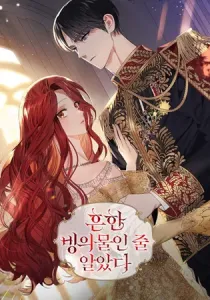 I Thought It Was A Common Isekai Story Manhwa cover