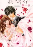 Junai Bride Manga cover