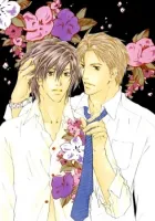 Junjou Manga cover