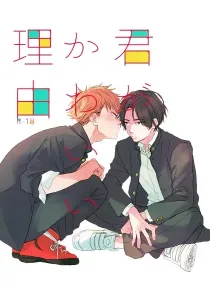 Kimi Ga Kawaii Riyuu Doujinshi cover