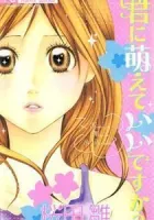 Kimi ni Moete Ii desu ka? Manga cover