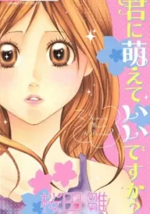 Kimi ni Moete Ii desu ka? Manga cover