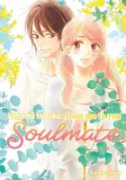 Kimi ni Todoke - From Me to You: Soulmate Manga cover