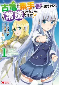 Koryuu Nara Sude de Taosemasu Kedo Manga cover