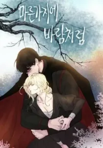 Like Wind on a Dry Branch Manhwa Like Wind on a Dry Branch Manhwa cover