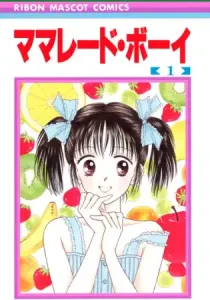 Marmalade Boy Manga cover