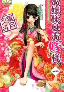 Ojousama wa Oyomesama Manga cover