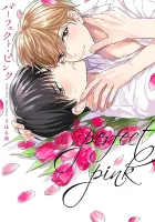 Perfect Pink Manga cover