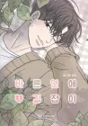 Romance 101 Manhwa cover