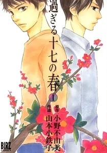 Sugiru Juunana no Haru Manga cover