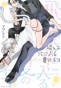 Tonde Hi Ni Iru Natsu No Neko Manga cover