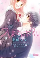 Tsubasa to Hotaru Manga cover