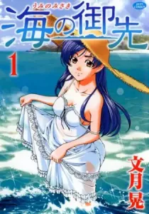 Umi no Misaki Manga cover