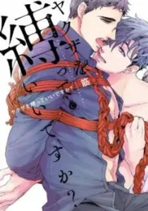 Yakuza Wo Shibatte Ii Desu Ka Manga cover
