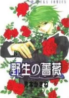 Yasei No Bara Manga cover