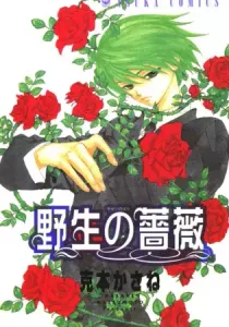 Yasei No Bara Manga cover